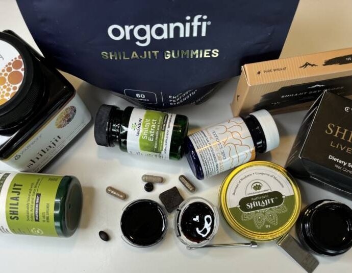 shilajit erfahrungen