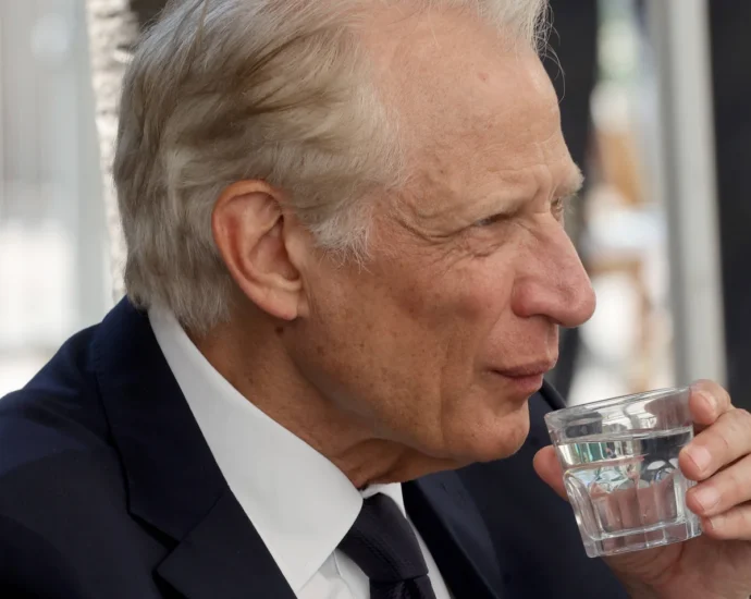 dominique de villepin