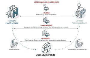 Wie Funktionieren Duale Studiengänge Überhaupt?